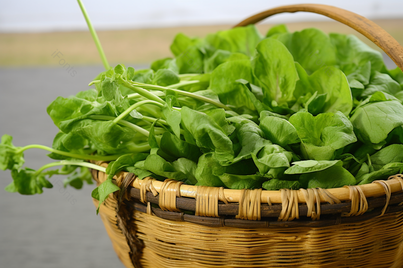 农民收割野菜荠菜放篮子里食物摄影图,高清,摄影图,摄影图片,图片大全,摄影图免费下载